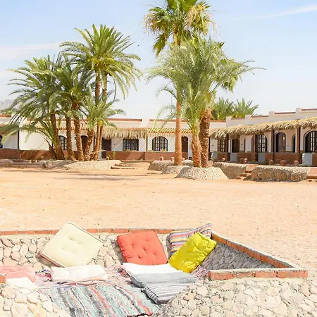 Palm Valley Camp