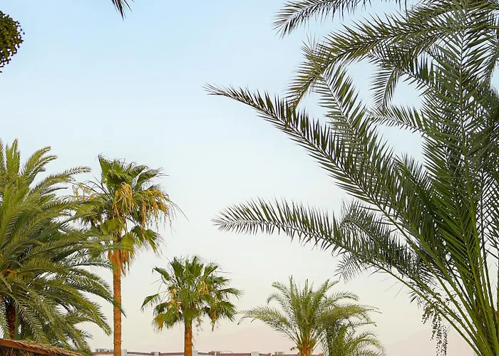 Kamp alanı Palm Valley Camp *