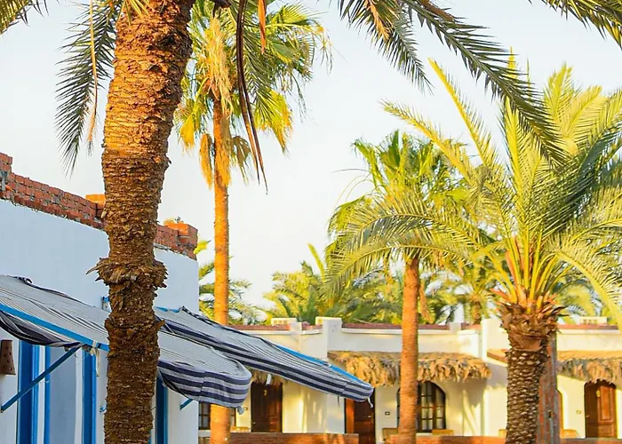 Kamp alanı Palm Valley Camp