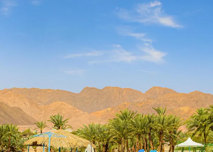 Palm Valley Camp Kamp alanı *