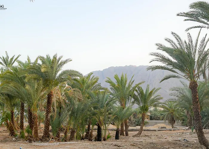 Palm Valley Camp Kamp alanı Nuweiba`