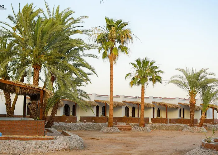 Kamp alanı Palm Valley Camp Nuweiba`