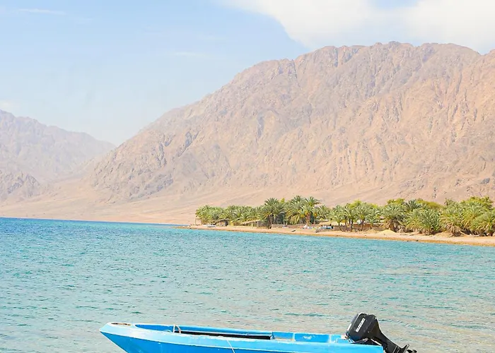 Palm Valley Camp Kamp alanı *