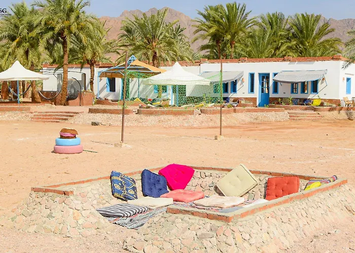 Kamp alanı Palm Valley Camp Nuweiba`