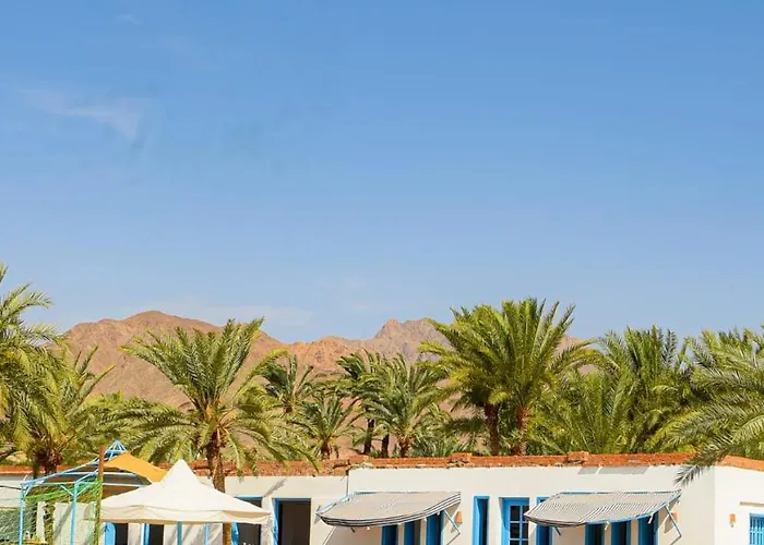 Palm Valley Camp Kamp alanı