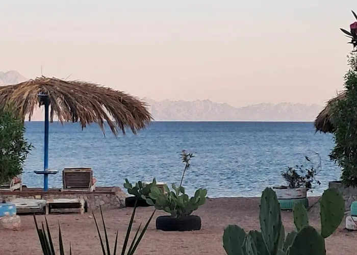 Kamp alanı Palm Valley Camp *