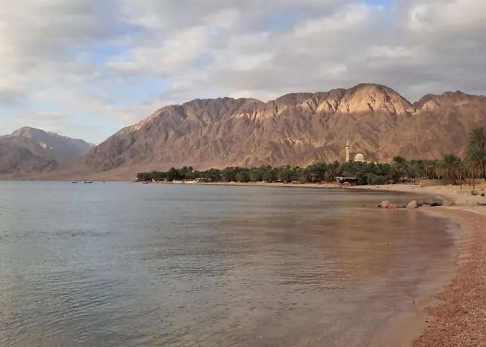 Palm Valley Camp Kamp alanı *
