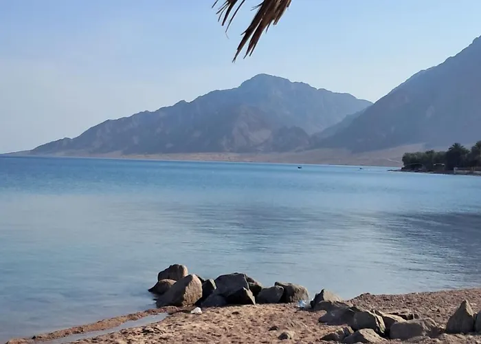 Palm Valley Camp Kamp alanı Nuweiba`
