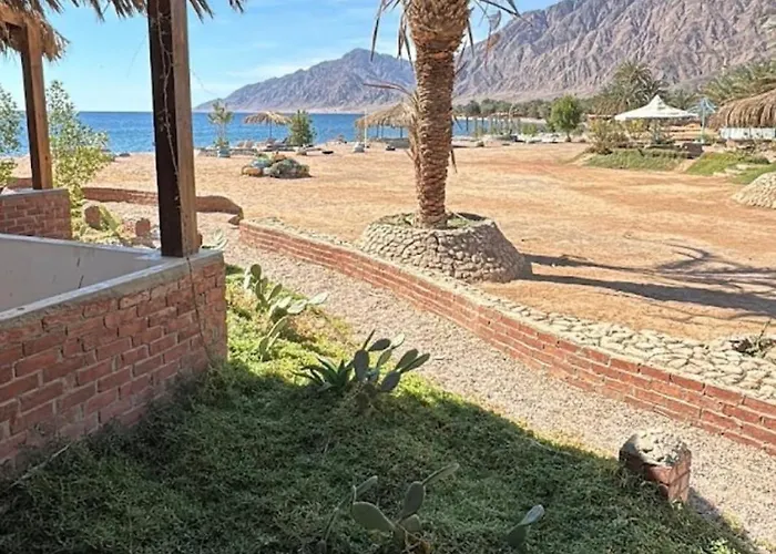 Palm Valley Camp