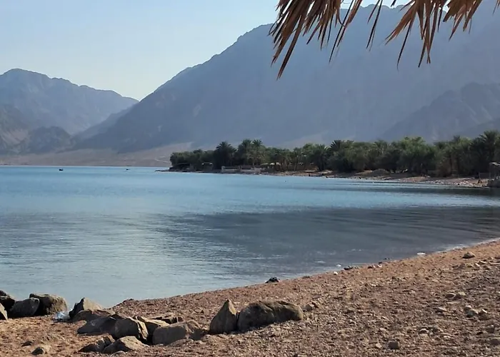 Kamp alanı Palm Valley Camp *