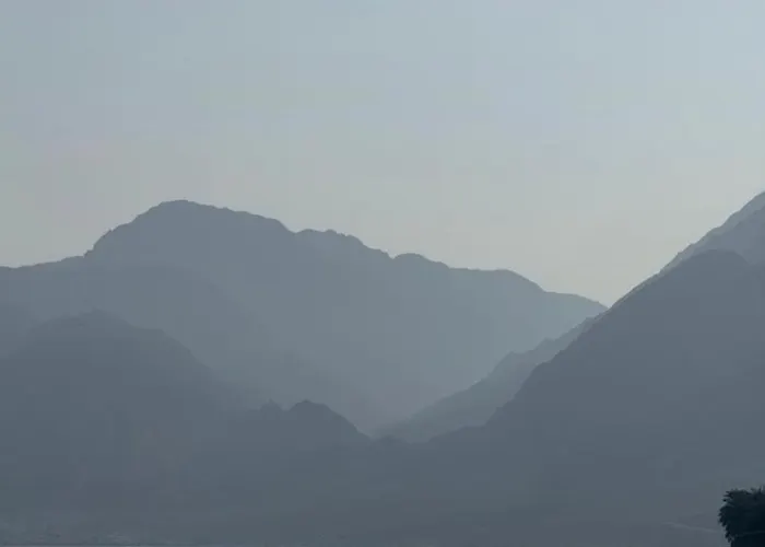 Palm Valley Camp