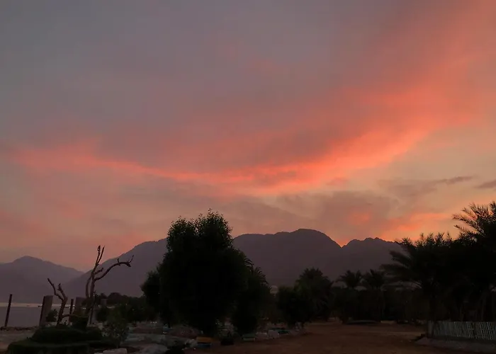Kamp alanı Palm Valley Camp