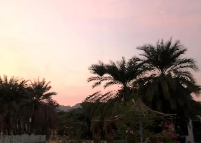 Kamp alanı Palm Valley Camp Nuweiba`
