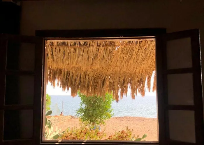 Kamp alanı Palm Valley Camp