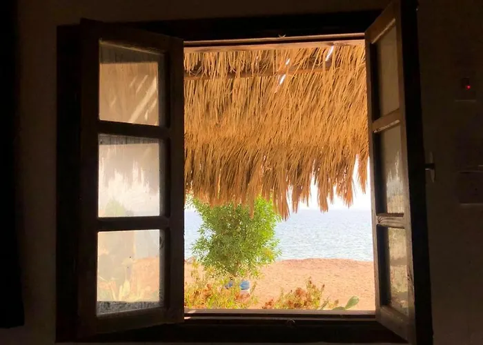 Palm Valley Camp אתר קמפינג *
