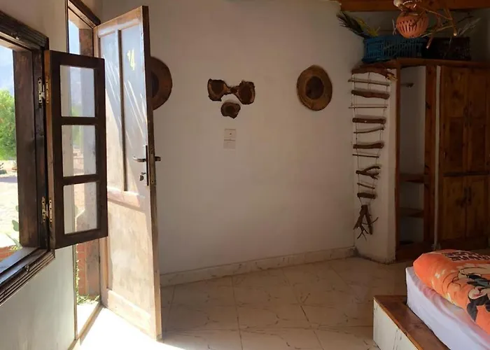 Palm Valley Camp Kamp alanı