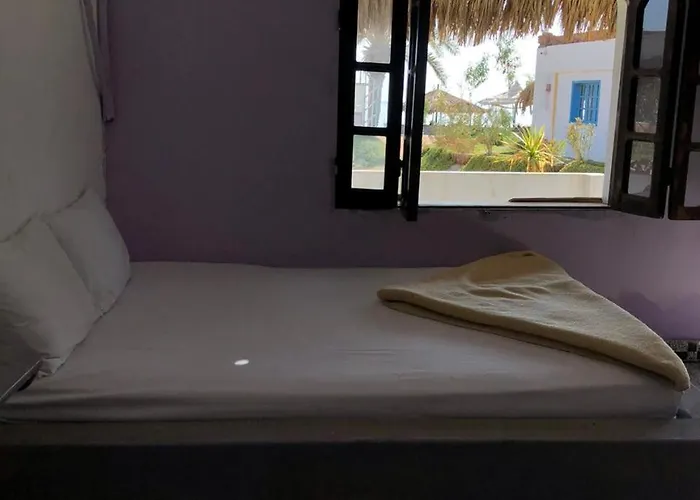 Palm Valley Camp
