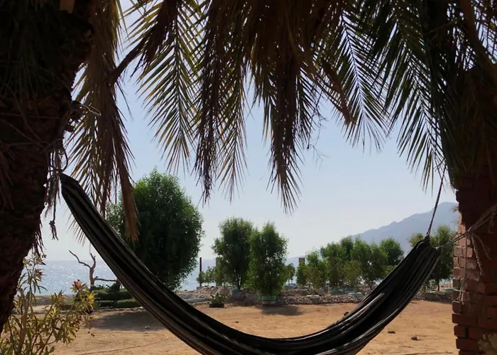 אתר קמפינג Palm Valley Camp