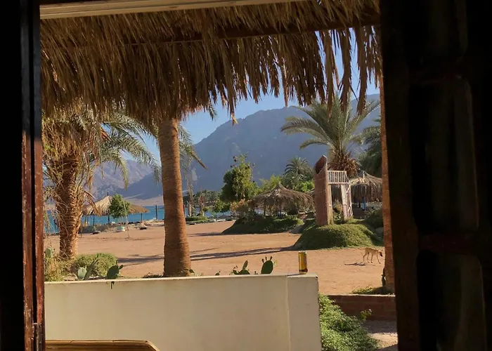 Palm Valley Camp Nuweiba`