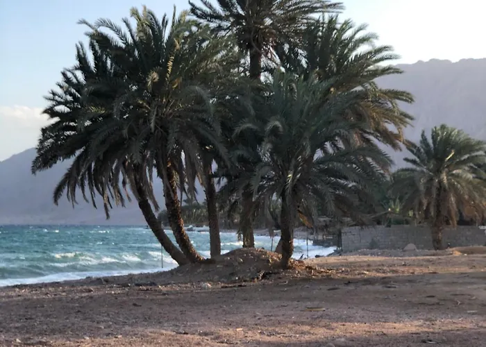 Palm Valley Camp Kamp alanı