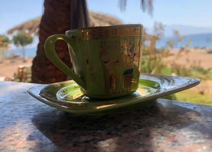 Kamp alanı Palm Valley Camp Nuweiba`