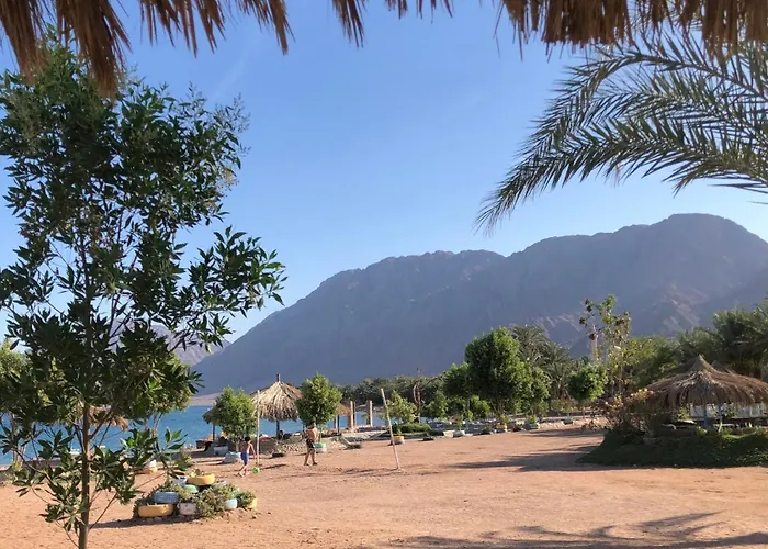 Palm Valley Camp Kamp alanı *