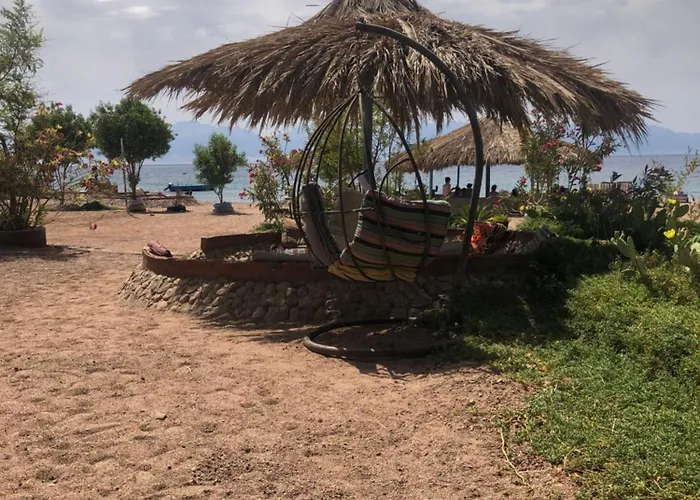 Kamp alanı Palm Valley Camp *