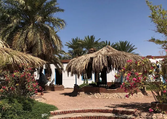 Palm Valley Camp Kamp alanı *