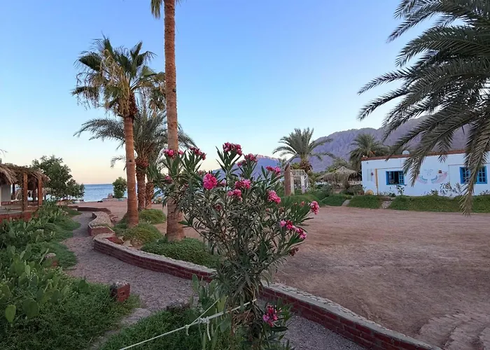 Palm Valley Camp Kamp alanı Nuweiba`