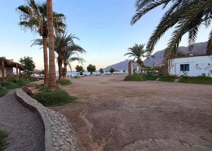 Palm Valley Camp Kamp alanı Nuweiba`