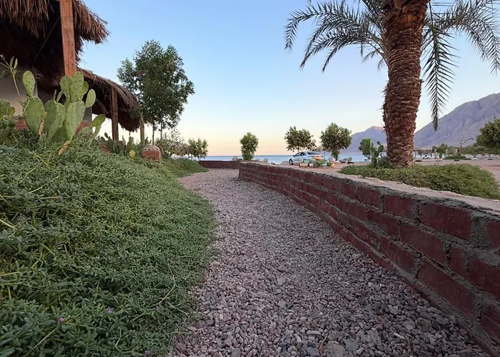 Palm Valley Camp Nuweiba`