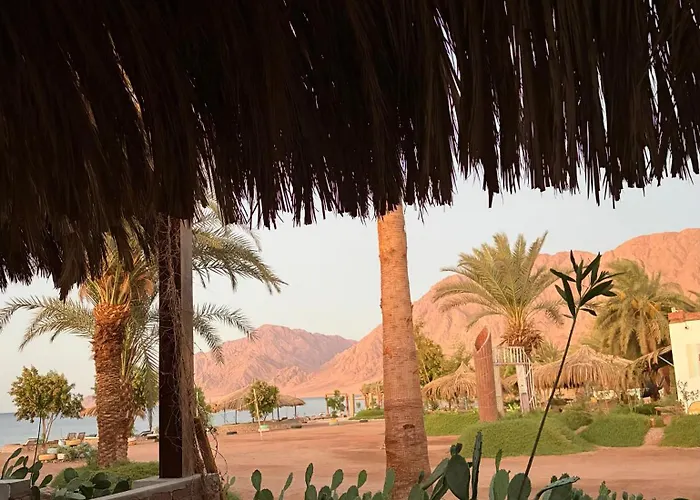 Palm Valley Camp