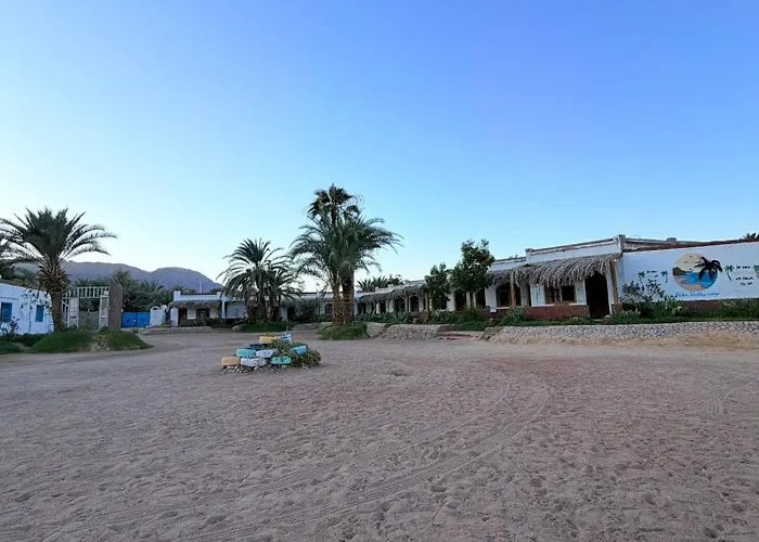 Kamp alanı Palm Valley Camp *