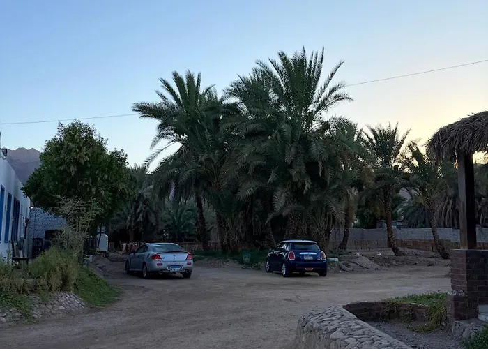 Kamp alanı Palm Valley Camp *