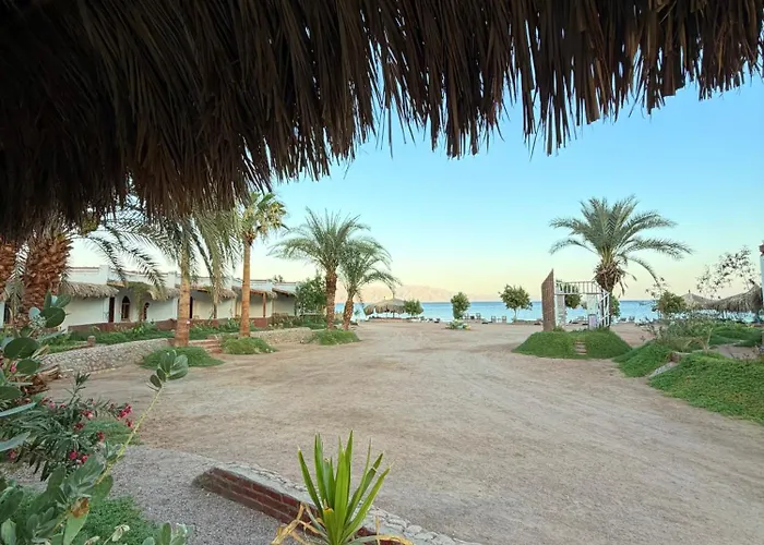 Kamp alanı Palm Valley Camp Nuweiba`