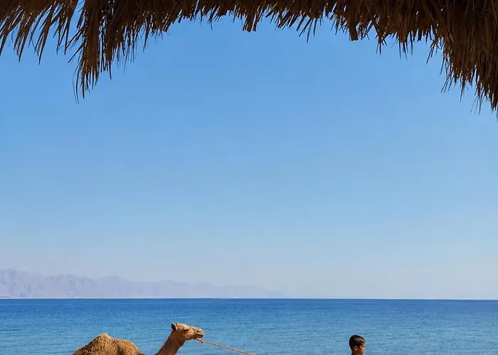 Palm Valley Camp Kamp alanı