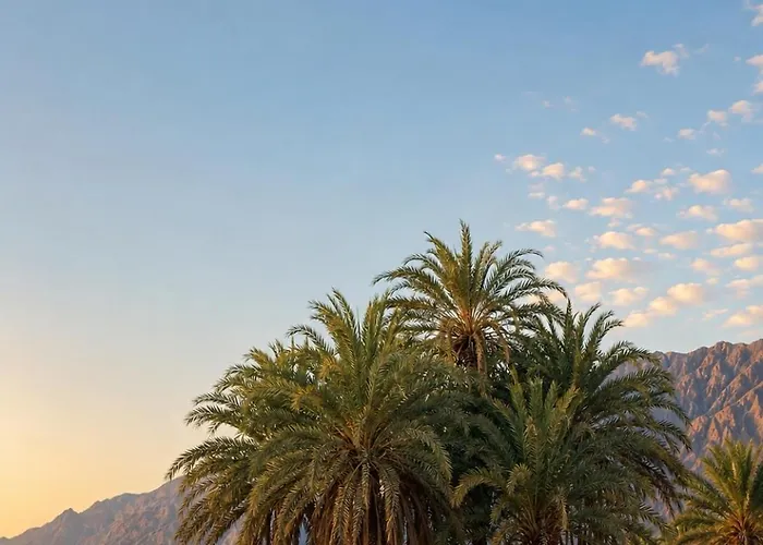Kamp alanı Palm Valley Camp